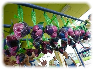 _★P1210126