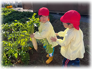 きく組（4歳児）のお友達　～朝和保育園～