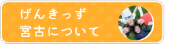 げんきっず宮古について