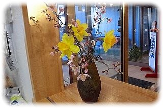 _CIMG3962