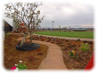 _DSC09411