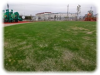 _DSC09416