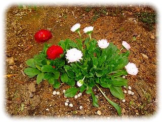 _DSC09420