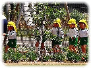 _DSC00557