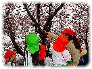 _DSC00747