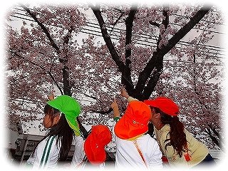 _DSC00748