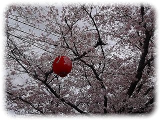 _DSC00753