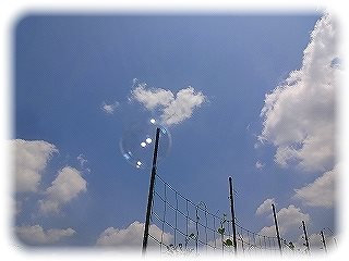 _DSC00765
