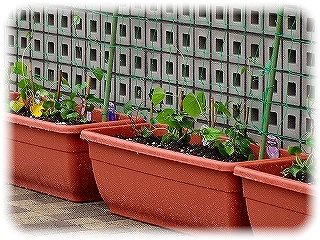 _DSC00900