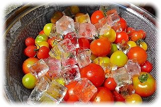 _CIMG5495