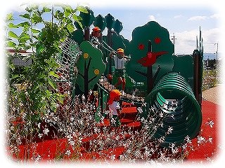 _DSC01520