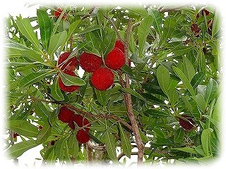 _DSC01659