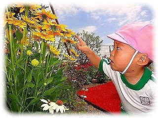 _DSC01668