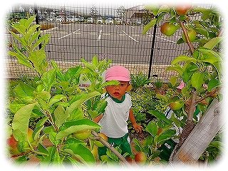_DSC01673