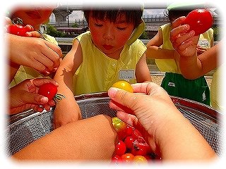 _DSC01805