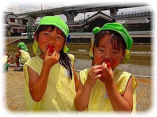 _DSC01825