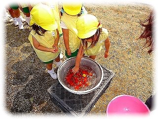 _DSC01946