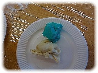 _DSC03712