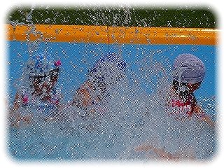 _DSC04302
