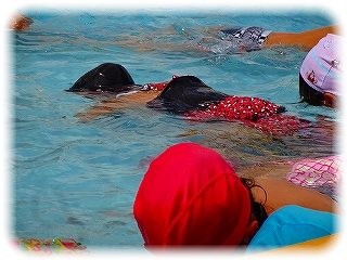 _DSC04955