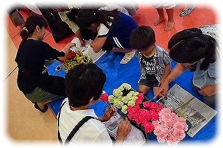 _CIMG6838