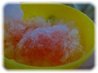 _DSC06000