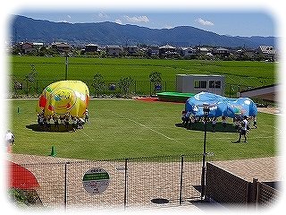 _DSC06153