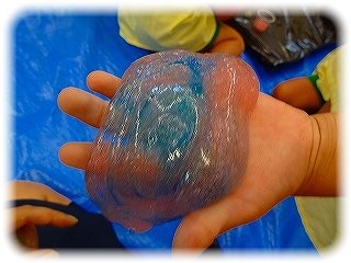 _DSC06775