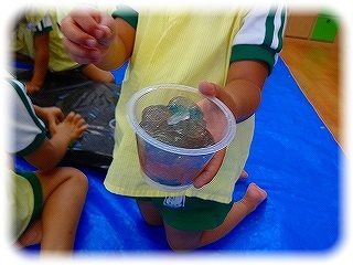 _DSC06776
