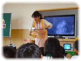 _DSC07993