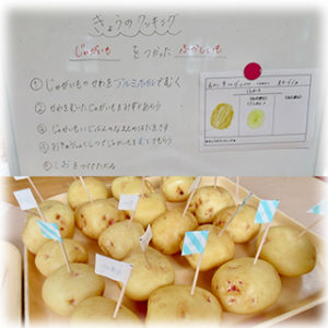 収穫したじゃがいもを使ってクッキングをしました　～こどもの森阪手保育園～