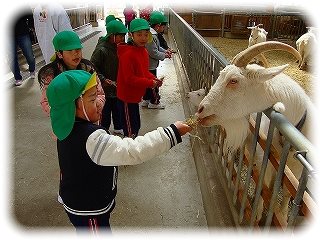 _DSC06127
