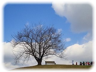 _DSC06193