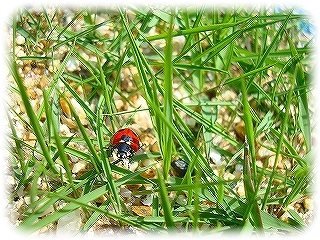 _DSC03840