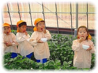 _DSC06727