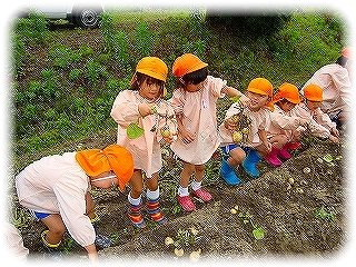 _DSC07224