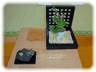 _DSC07537